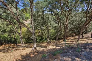 11307 Scarlet Oak, Oakdale, CA 95361 - Photo 26