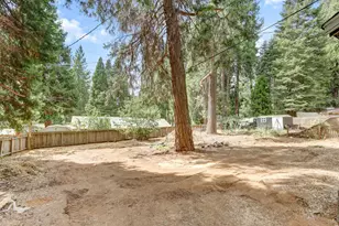 2936 Alder Dr, Camino, CA 95709 - Photo 60