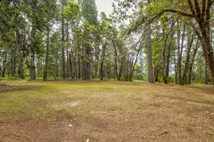 26270 Foresthill Rd, Foresthill, CA 95631 - Photo 6
