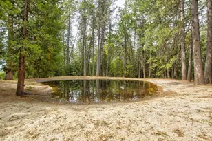 26270 Foresthill Rd, Foresthill, CA 95631 - Photo 8