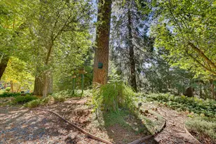 10655 E Piper Ln, Nevada City, CA 95959 - Photo 52