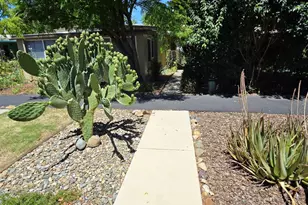 Broken Circle, Davis, CA 95618 - Photo 64
