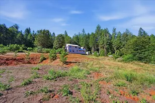 15 Ranch Ct, North San Juan, CA 95960 - Photo 38