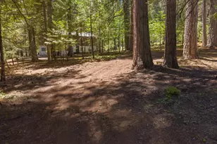 845 Marilyn Way, Arnold, CA 95223 - Photo 28