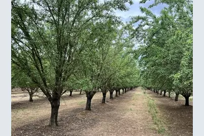0 Berry Road, Rio Oso, CA 95674 - Photo 6