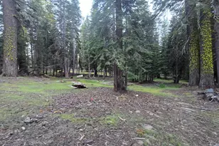 61011 Cedar Crest Ln, Lakeshore, CA 93634 - Photo 18