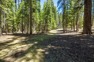 61011 Cedar Crest Ln, Lakeshore, CA 93634 - Photo 54