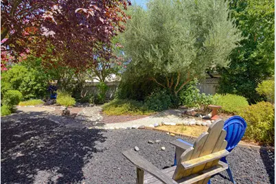 216 Navarretia Court, Roseville, CA 95747 - Photo 46