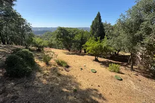 2418 Westville Trail, Cool, CA 95614 - Photo 44