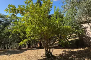 2418 Westville Trail, Cool, CA 95614 - Photo 54