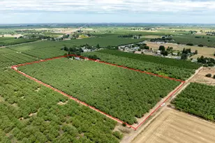 22342 Henry Rd, Escalon, CA 95320 - Photo 6