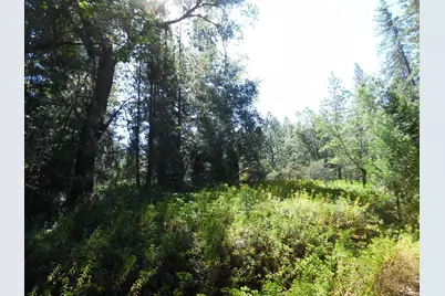 5301 Lone Star Road, Wilseyville, CA 95257 - Photo 12