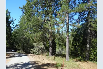 5301 Lone Star Road, Wilseyville, CA 95257 - Photo 6