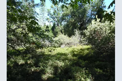 5301 Lone Star Road, Wilseyville, CA 95257 - Photo 18