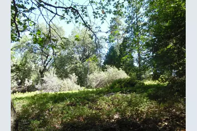 5301 Lone Star Road, Wilseyville, CA 95257 - Photo 22