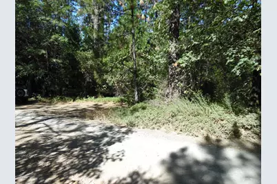 5301 Lone Star Road, Wilseyville, CA 95257 - Photo 4
