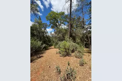 10273 Holcomb Drive, Grass Valley, CA 95949 - Photo 30