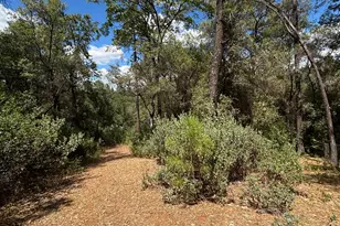 10273 Holcomb Dr, Grass Valley, CA 95949 - Photo 30