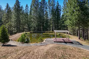12816 Jones Bar Rd, Nevada City, CA 95959 - Photo 44