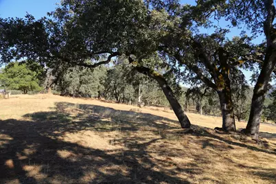 3791 Luneman Road, Placerville, CA 95667 - Photo 60