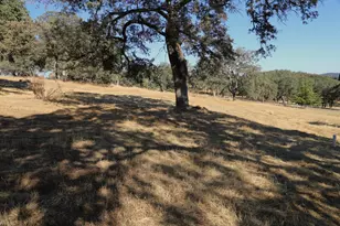 3791 Luneman Rd, Placerville, CA 95667 - Photo 58
