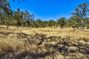 12550 Hogan Dam, Farmington, CA 95230 - Photo 54