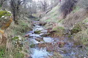 12550 Hogan Dam, Farmington, CA 95230 - Photo 72