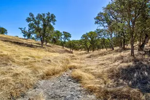 12550 Hogan Dam, Farmington, CA 95230 - Photo 56
