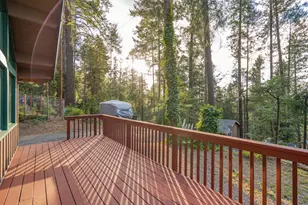 28020 Manzanita Trail, Colfax, CA 95713 - Photo 34