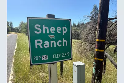 0 Sheep Ranch Rd., Sheep Ranch, CA 95246 - Photo 4