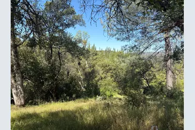 0 Sheep Ranch Rd., Sheep Ranch, CA 95246 - Photo 10