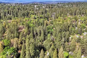 11312 Alpine Ln, Grass Valley, CA 95945 - Photo 38