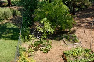 11090 Lakeshore N, Auburn, CA 95602 - Photo 36