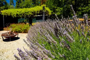 12759 Squirrel Creek Rd, Grass Valley, CA 95945 - Photo 12