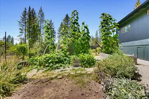 12759 Squirrel Creek Rd, Grass Valley, CA 95945 - Photo 22