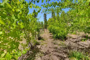 12759 Squirrel Creek Rd, Grass Valley, CA 95945 - Photo 38
