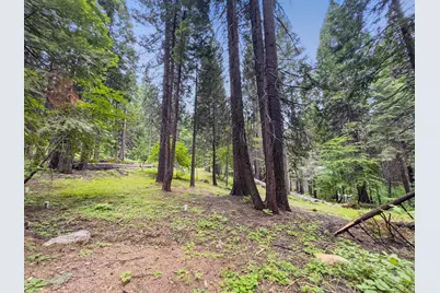 4278 Ottawa Drive, Camp Connell, CA 95223 - Photo 8