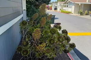 N Mary Ave, Sunnyvale, CA 94089 - Photo 28