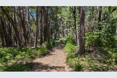 12479 Tesla Place, Nevada City, CA 95959 - Photo 2