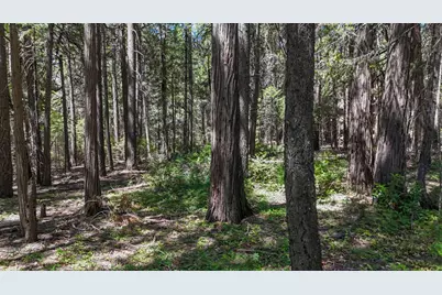 12479 Tesla Place, Nevada City, CA 95959 - Photo 18