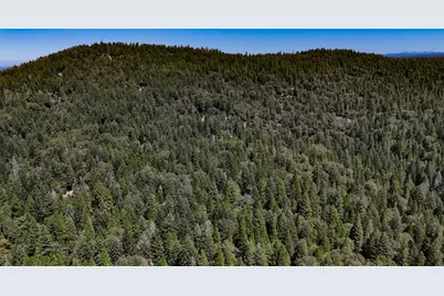 12479 Tesla Place, Nevada City, CA 95959 - Photo 24