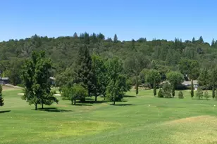 19179 Swallow Way, Penn Valley, CA 95946 - Photo 74