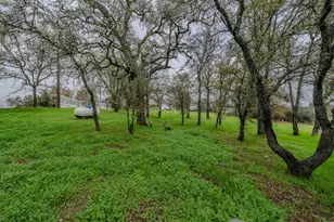 149 S Park Dr, Burson, CA 95252 - Photo 66