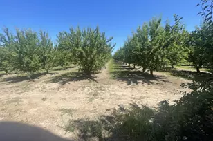 22095 State Hwy 120, Escalon, CA 95320 - Photo 32