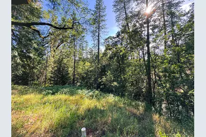 1027 Dorothy Way, West Point, CA 95255 - Photo 12