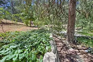 505 Caruso Ct, Colfax, CA 95713 - Photo 30