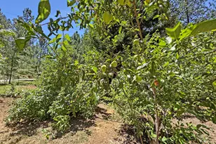 505 Caruso Ct, Colfax, CA 95713 - Photo 34