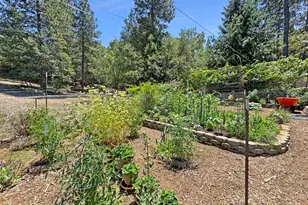 505 Caruso Ct, Colfax, CA 95713 - Photo 28