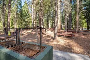 4109 Ottawa Dr, Camp Connell, CA 95223 - Photo 38