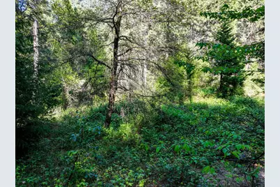 13136 Woodstock Drive, Nevada City, CA 95959 - Photo 22